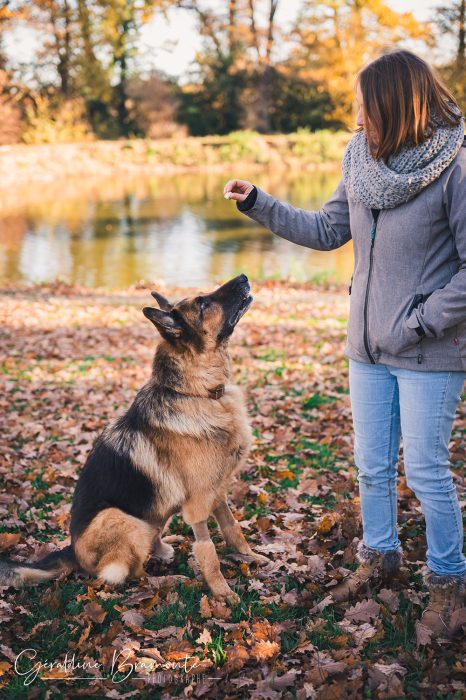 Geraldine-Bramonte-Photographe-Animaux-chat-chien-102